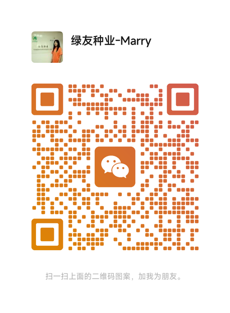 WeChat QR Code